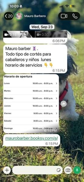 Trabajo de Mauro